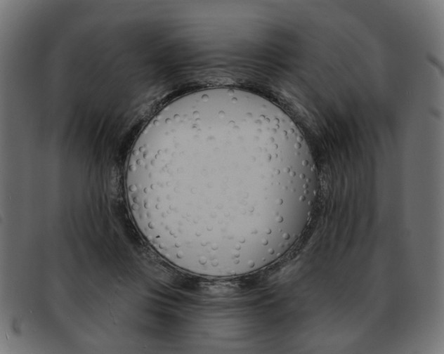 X0000093580359200710151002