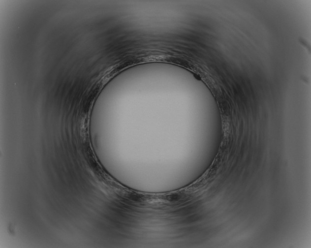 X0000093580360200710151002