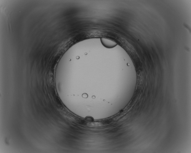 X0000093580361200710151002