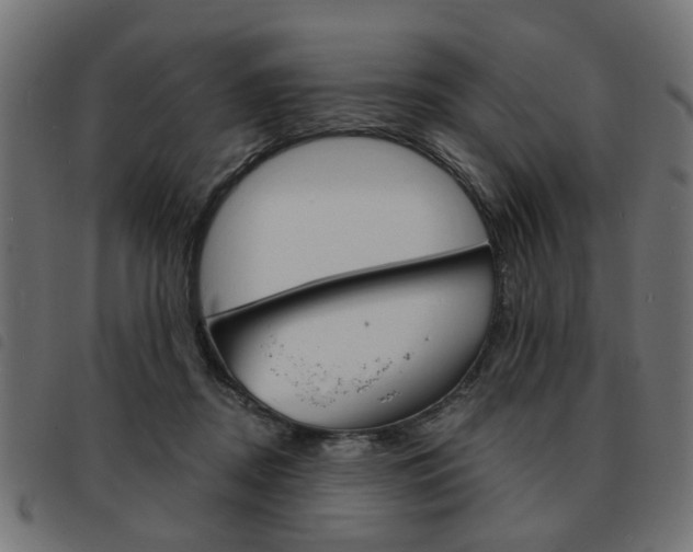 X0000093580362200710151002
