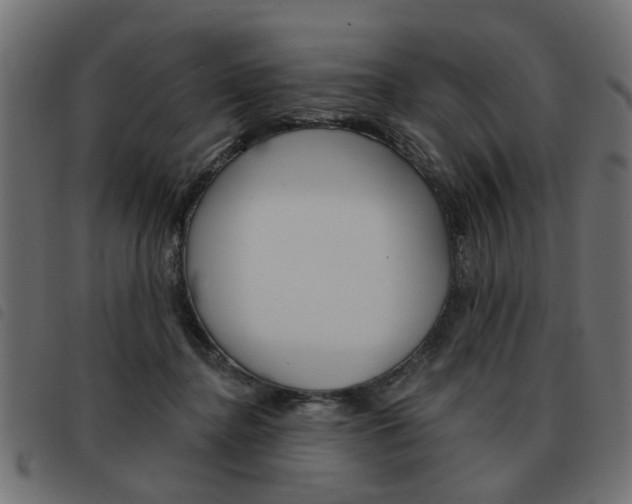 X0000093580364200710151002