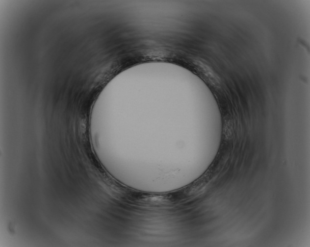 X0000093580365200710151002