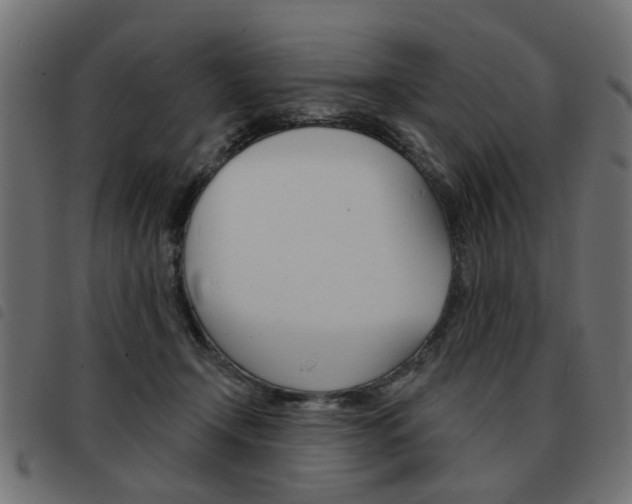 X0000093580366200710151002