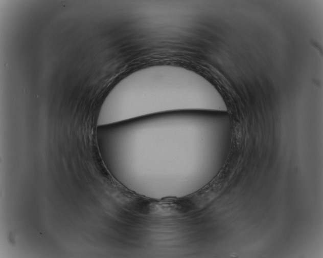 X0000093580372200710151002
