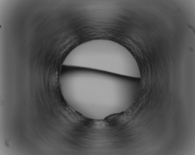 X0000093580376200710151002