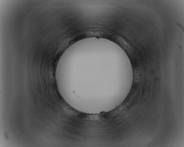 X0000093580377200710151002