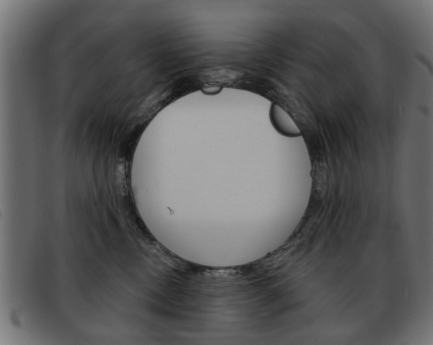 X0000093580378200710151002