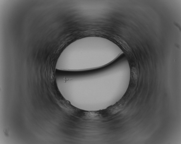X0000093580380200710151002