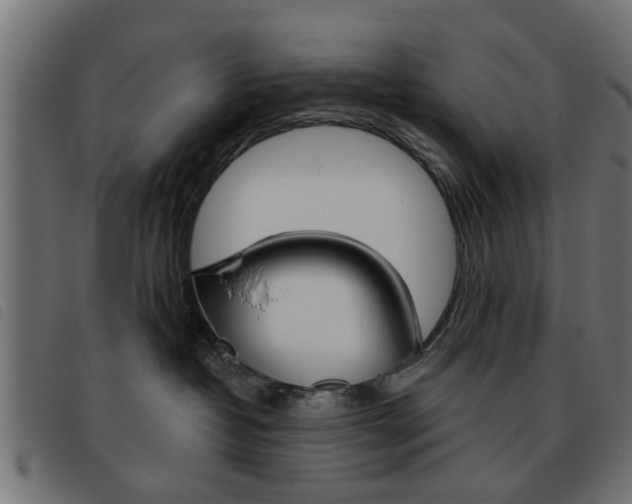 X0000093580382200710151002