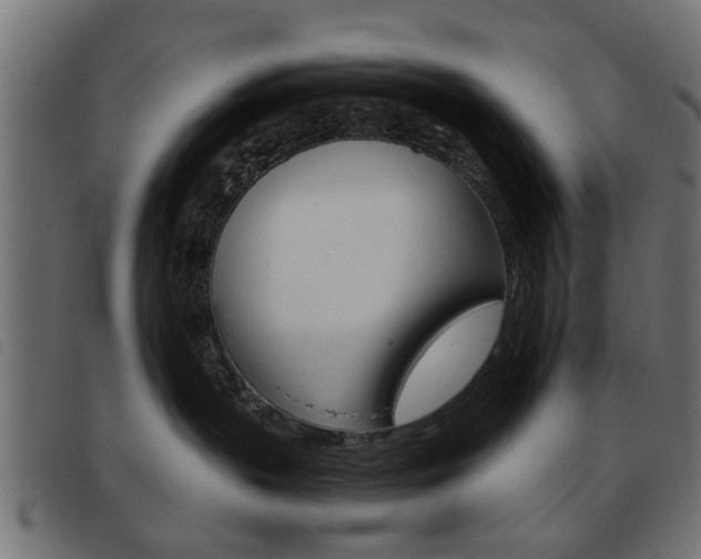 X0000093580383200710151002