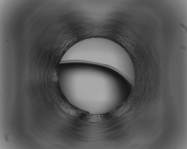 X0000093580384200710151002