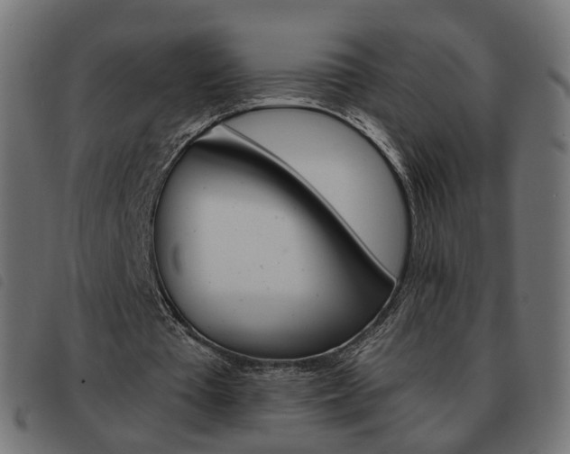 X0000093580385200710151002
