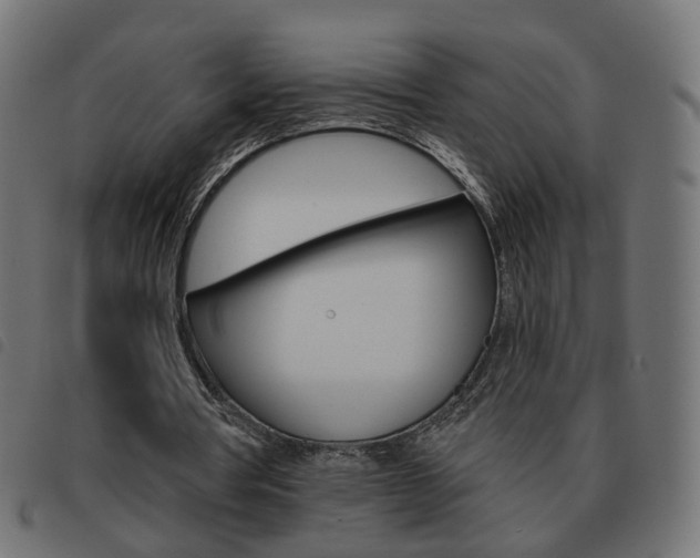 X0000093580386200710151002