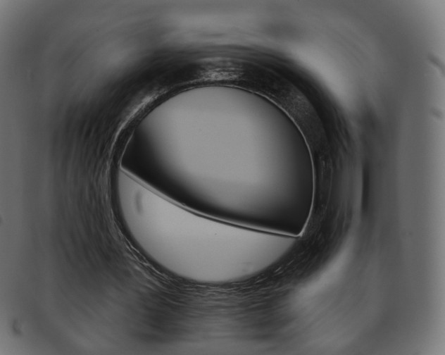 X0000093580387200710151002