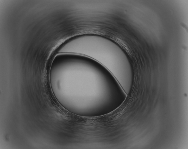 X0000093580388200710151002
