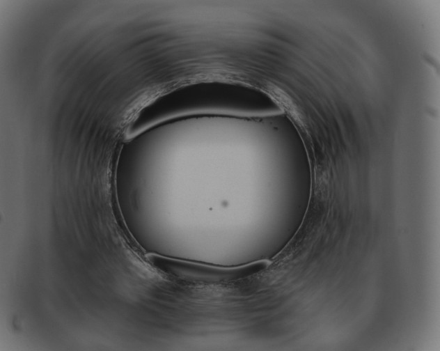 X0000093580389200710151002