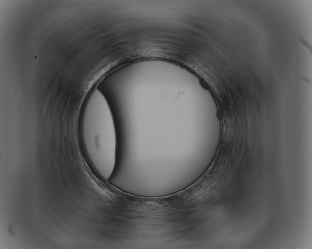 X0000093580390200710151002