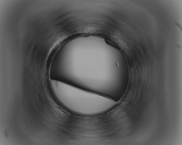 X0000093580392200710151002