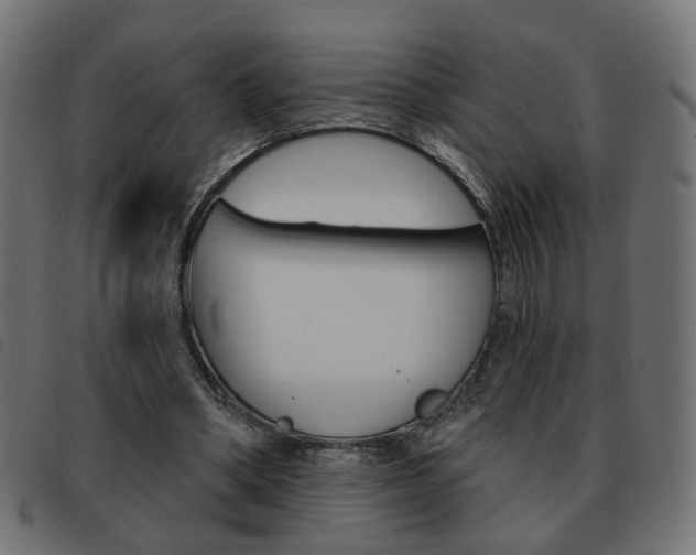 X0000093580394200710151002