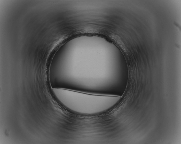 X0000093580395200710151001