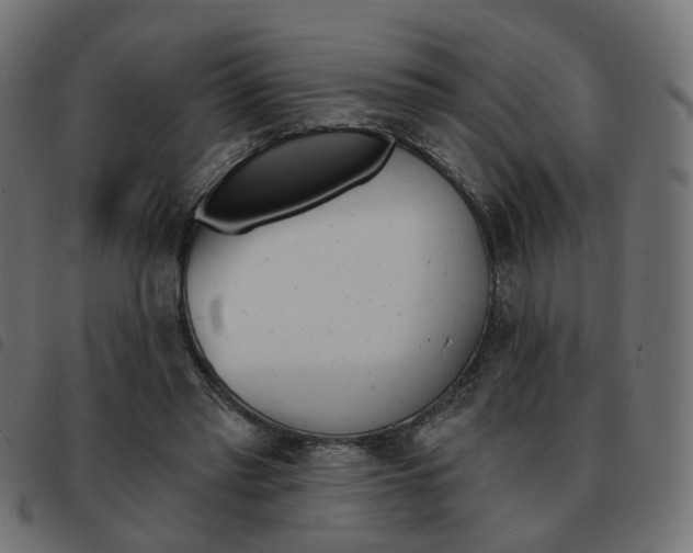 X0000093580397200710151001