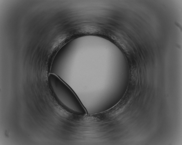 X0000093580399200710151001