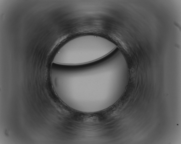X0000093580400200710151001