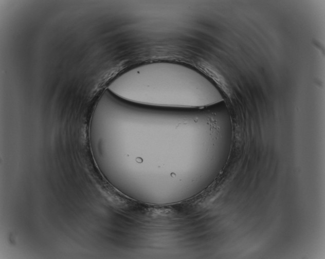 X0000093580401200710151001