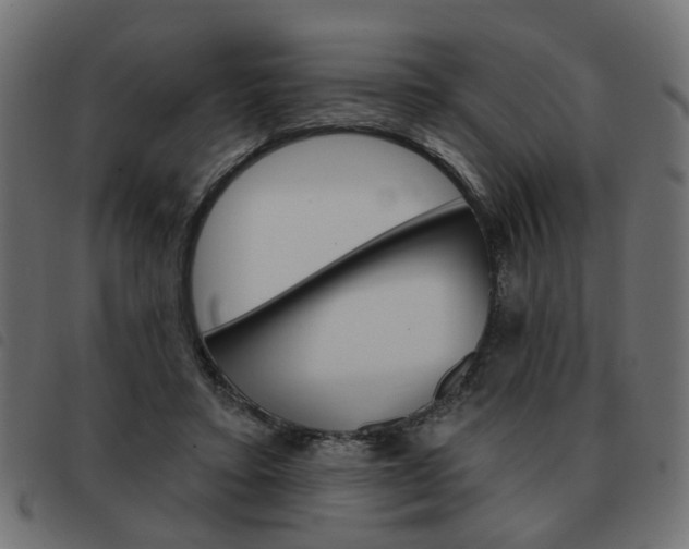 X0000093580403200710151001