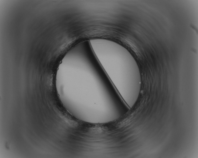 X0000093580404200710151001