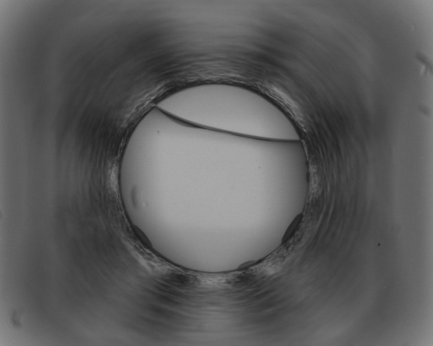 X0000093580405200710151001
