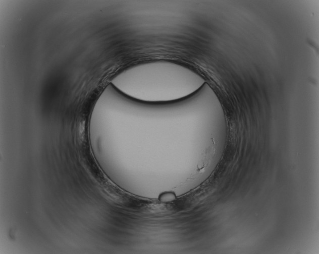 X0000093580406200710151001