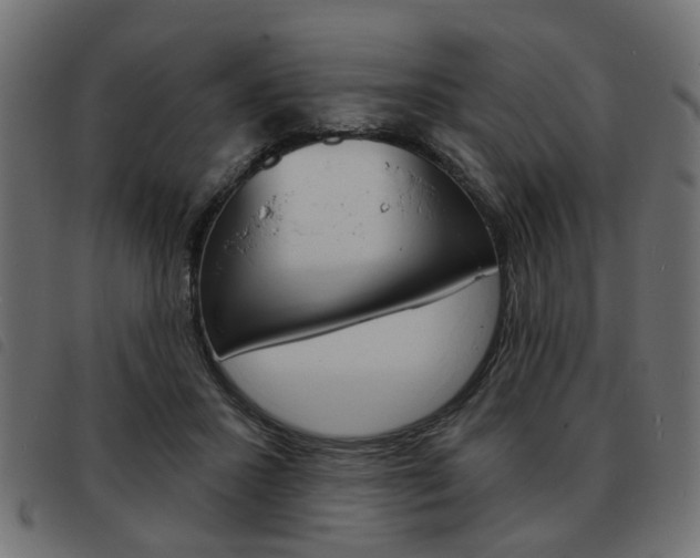 X0000093580407200710151001