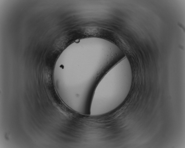 X0000093580408200710151001