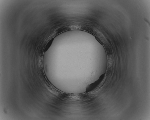 X0000093580409200710151001