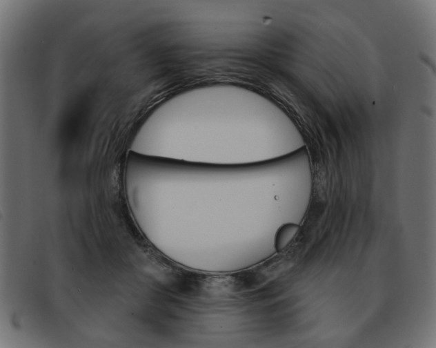 X0000093580410200710151001