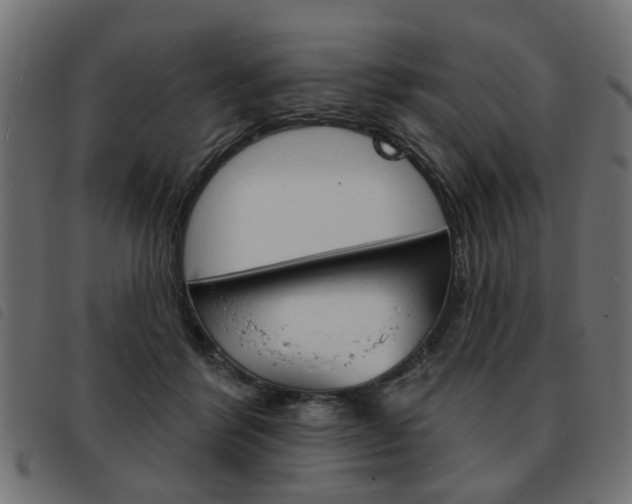 X0000093580412200710151001
