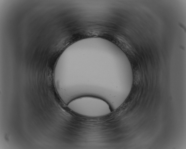 X0000093580414200710151001