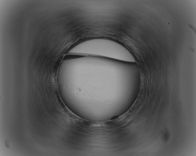 X0000093580415200710151001