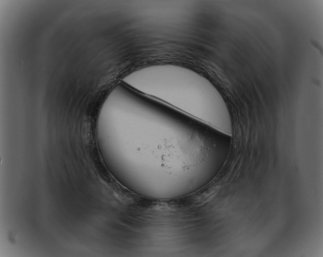 X0000093580416200710151001