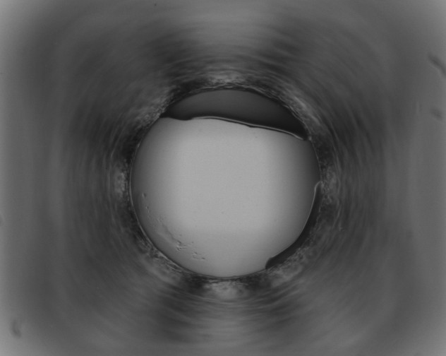 X0000093580417200710151001