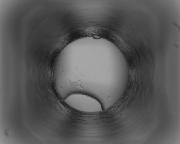X0000093580418200710151001