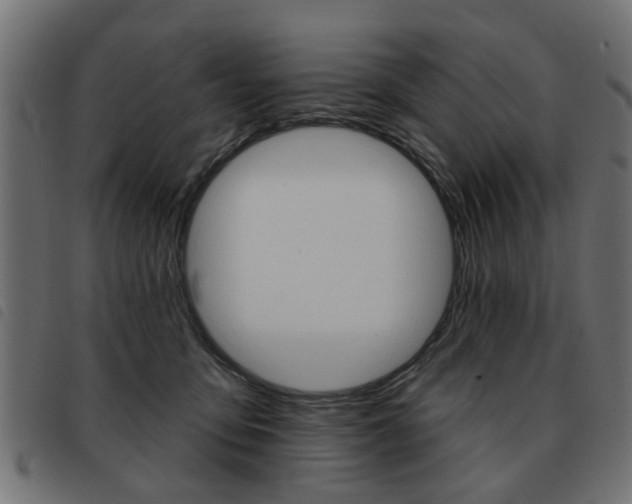 X0000093580419200710151001