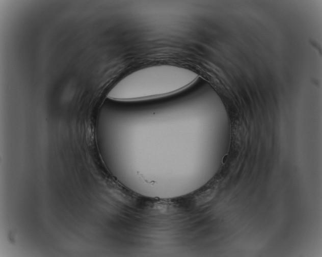 X0000093580420200710151001