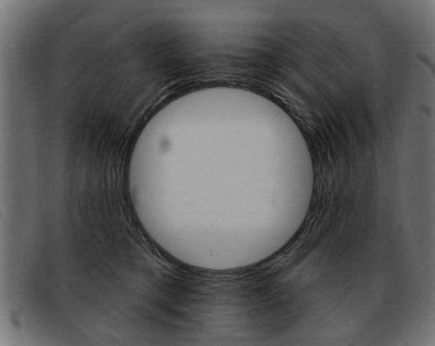 X0000093580421200710151001