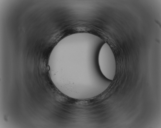 X0000093580422200710151001
