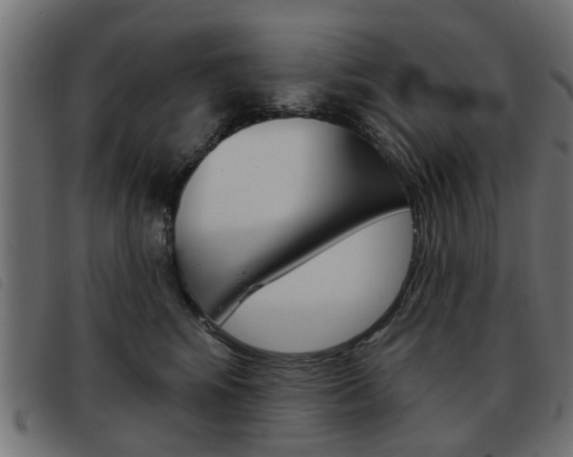 X0000093580424200710151001