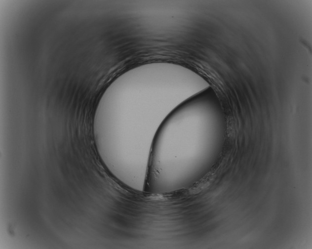 X0000093580425200710151001