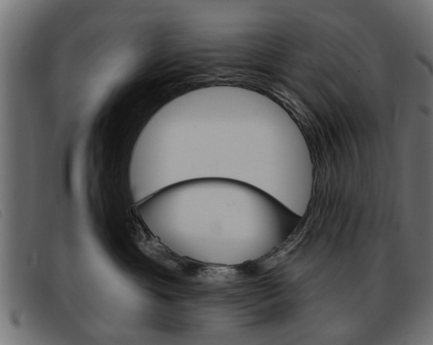 X0000093580429200710151001