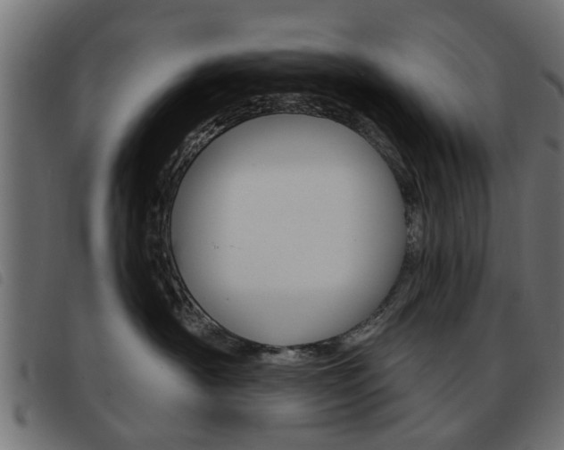 X0000093580430200710151001